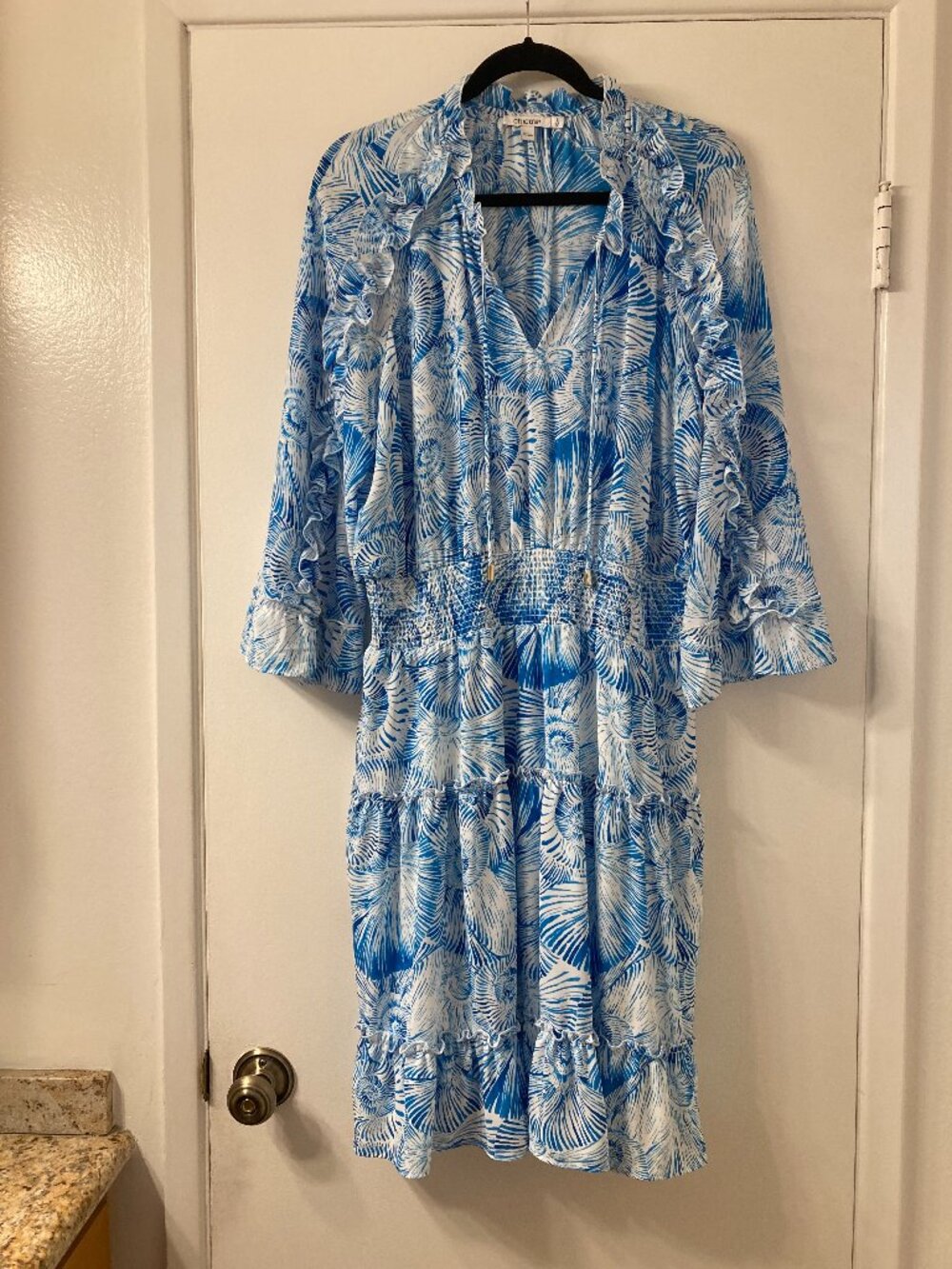 Chicos Blue and White Dress, Size 2 (L or 12)